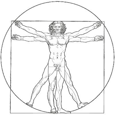 Transparent Vitruvian